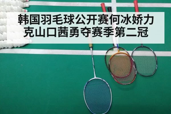 韩国羽毛球公开赛何冰娇力克山口茜勇夺赛季第二冠